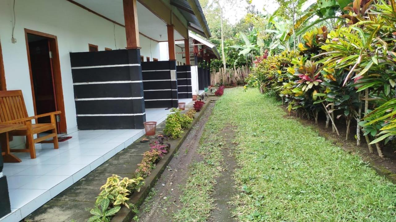 Tatasya Homestay Senaru Buitenkant foto